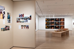 Installation photo, 16 of 33