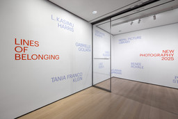 Installation photo, 2 of 33