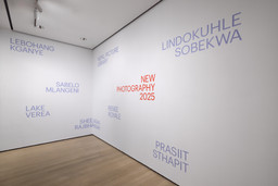Installation photo, 4 of 33