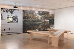 Installation photo, 26 of 33