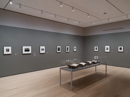 Installation photo, 8 of 11