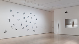 Installation photo, 11 of 12