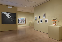 Installation photo, 20 of 27