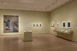 Installation photo, 23 of 27
