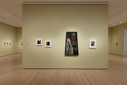 Installation photo, 5 of 27