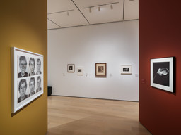 Installation photo, 6 of 21