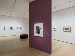 Installation photo, 17 of 21