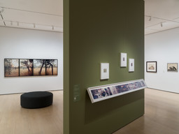 Installation photo, 10 of 21
