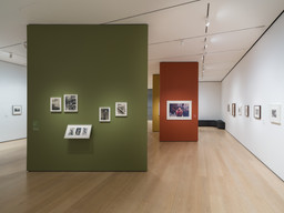Installation photo, 14 of 21