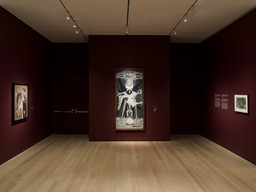 Installation photo, 41 of 74