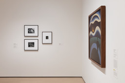 Installation photo, 22 of 24