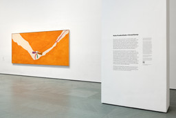 Installation photo, 1 of 12