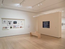 Installation photo, 26 of 42