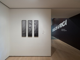 Installation photo, 4 of 42