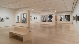 Installation photo, 10 of 42