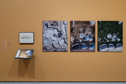 Installation photo, 14 of 18