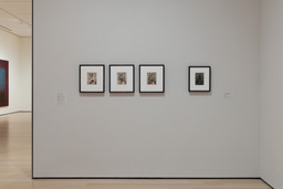 Installation photo, 15 of 16