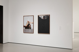 Installation photo, 17 of 17