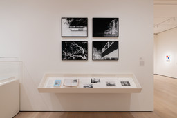 Installation photo, 20 of 21