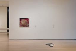 Installation photo, 19 of 24