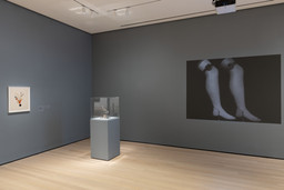 Installation photo, 28 of 30
