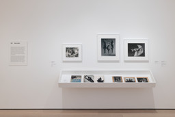 Installation photo, 9 of 15