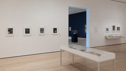 Installation photo, 13 of 15