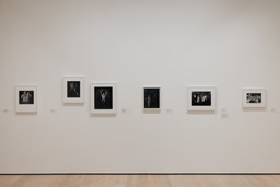 Installation photo, 12 of 15