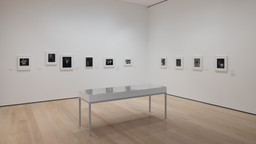 Installation photo, 14 of 15