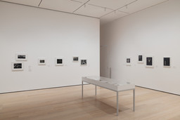 Installation photo, 11 of 15