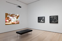 Installation photo, 8 of 13