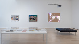 Installation photo, 9 of 13
