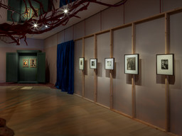 Installation photo, 15 of 28