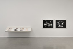 Installation photo, 18 of 23