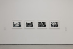 Installation photo, 19 of 23