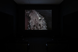 Installation photo, 1 of 8
