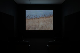 Installation photo, 5 of 8