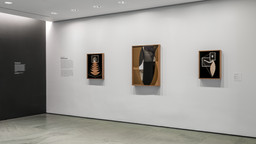 Installation photo, 2 of 2