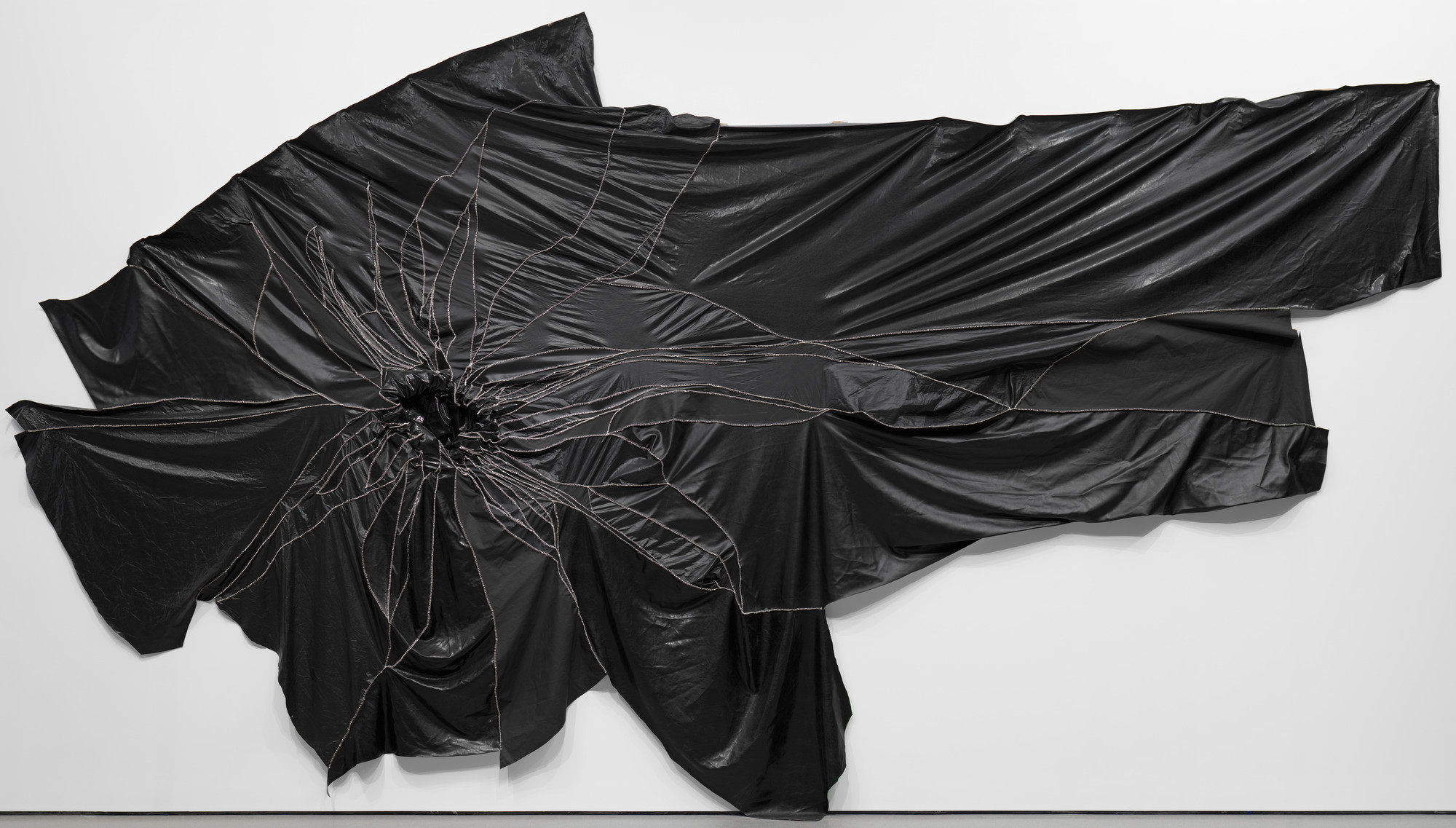 Rodney McMillian. Succulent. 2010.