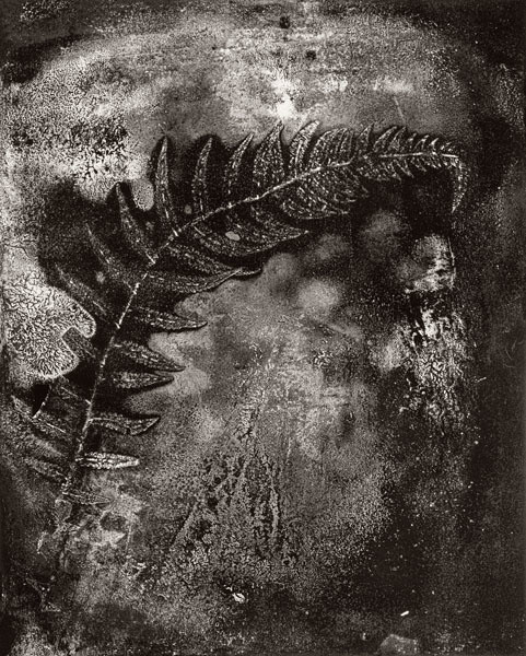 Photo: Loring McAlpin