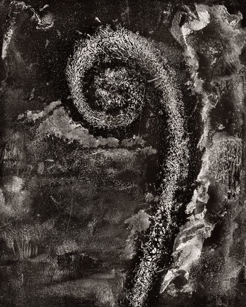 Photo: Loring McAlpin