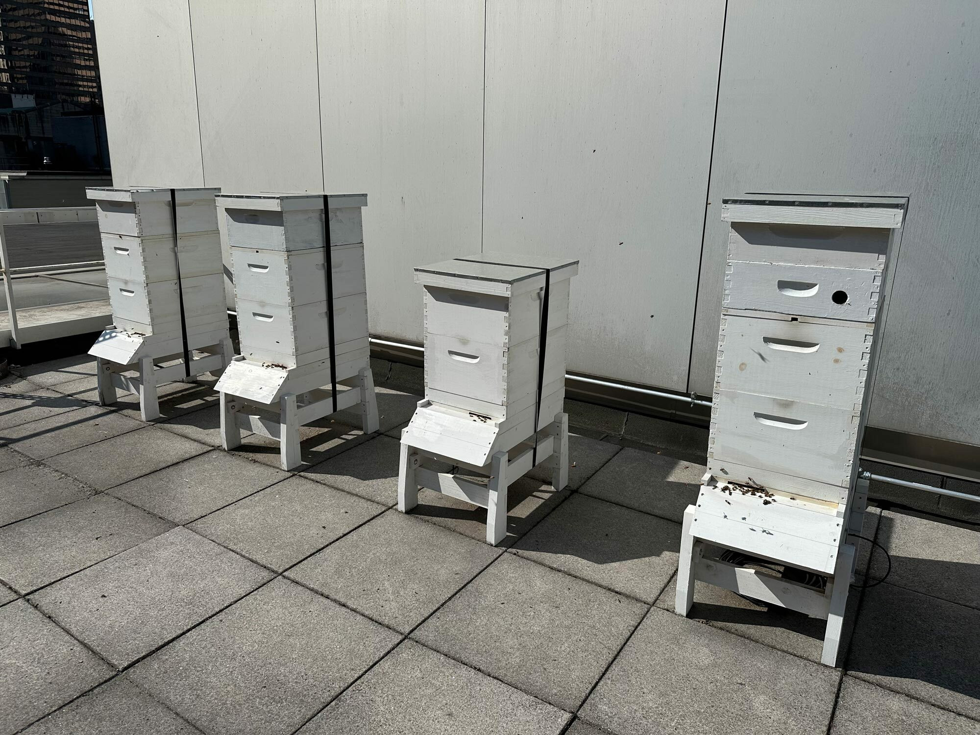 Photo: Eliana Glicklich-Cohn. Bee hives on MoMA’s roof. 2023