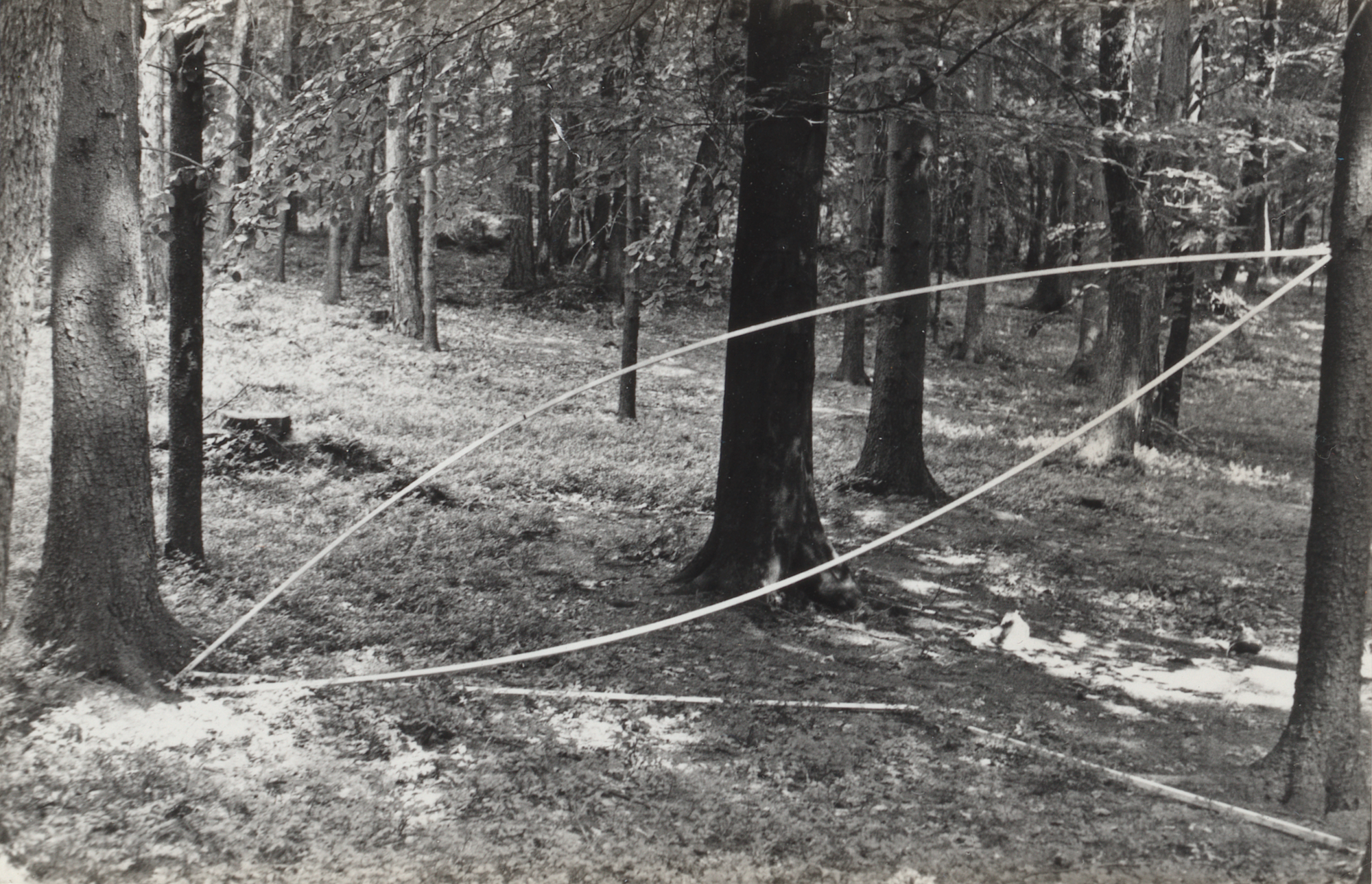 Milenko Matanovic. Summer Projects, title unknown. 1969. Gelatin silver print, 3 1/2 x 5 1/2” (8.9 x 14 cm). Kynaston McShine “Information” Exhibition Research, IV.63.a. The Museum of Modern Art Archives, New York. Photo: John Wronn