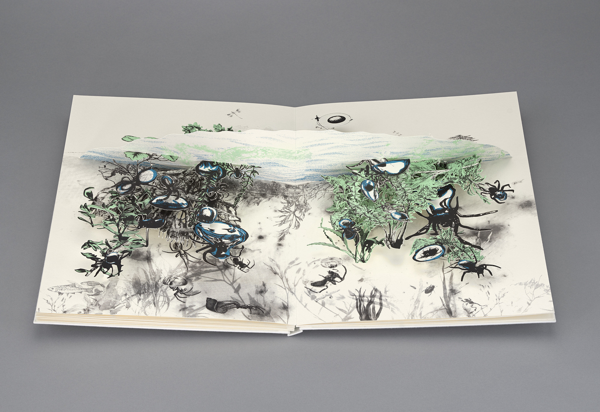 Tomás Saraceno, From Arachnophobia to Arachnophilia, 2022