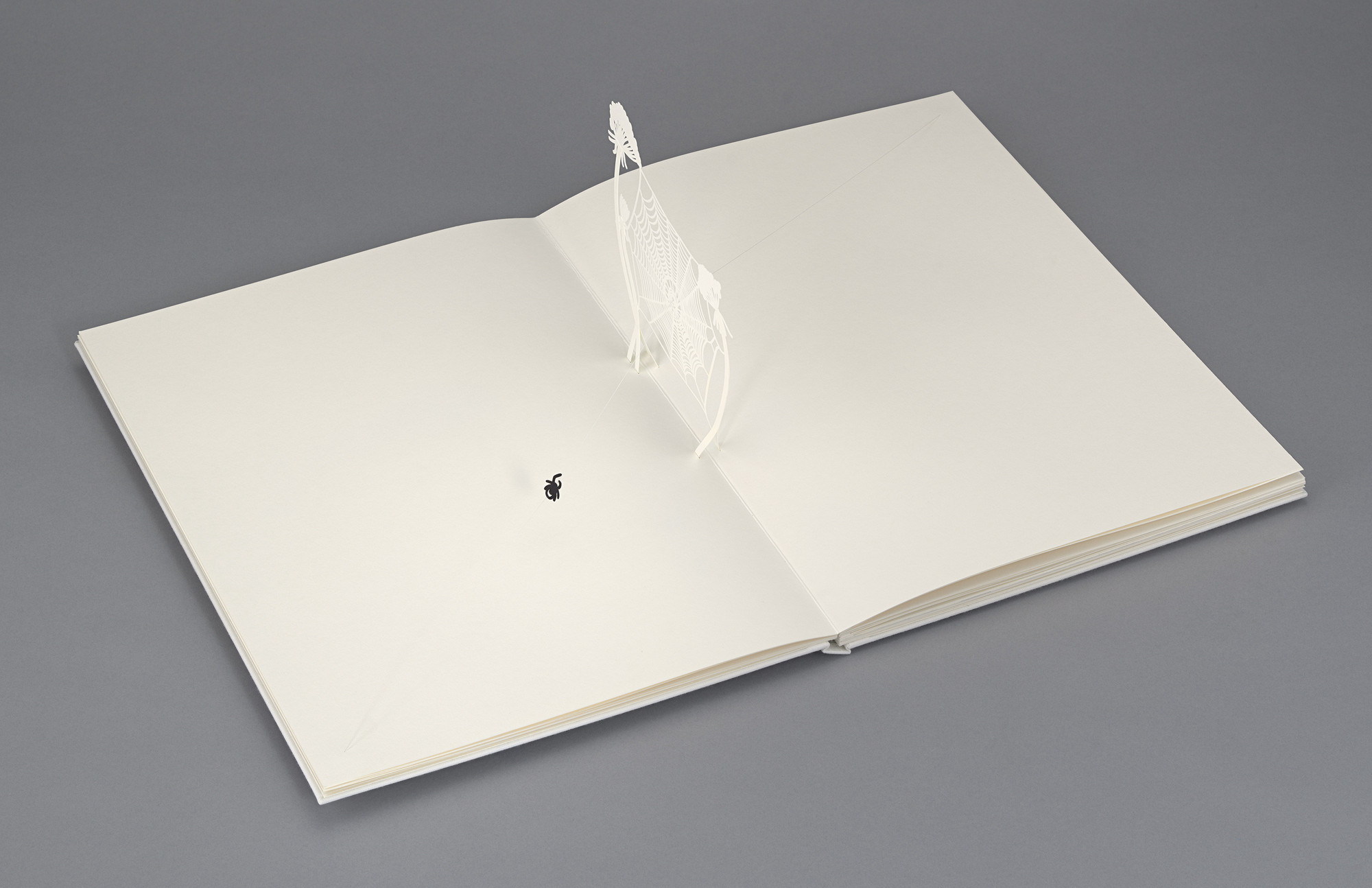 Tomás Saraceno, From Arachnophobia to Arachnophilia, 2022