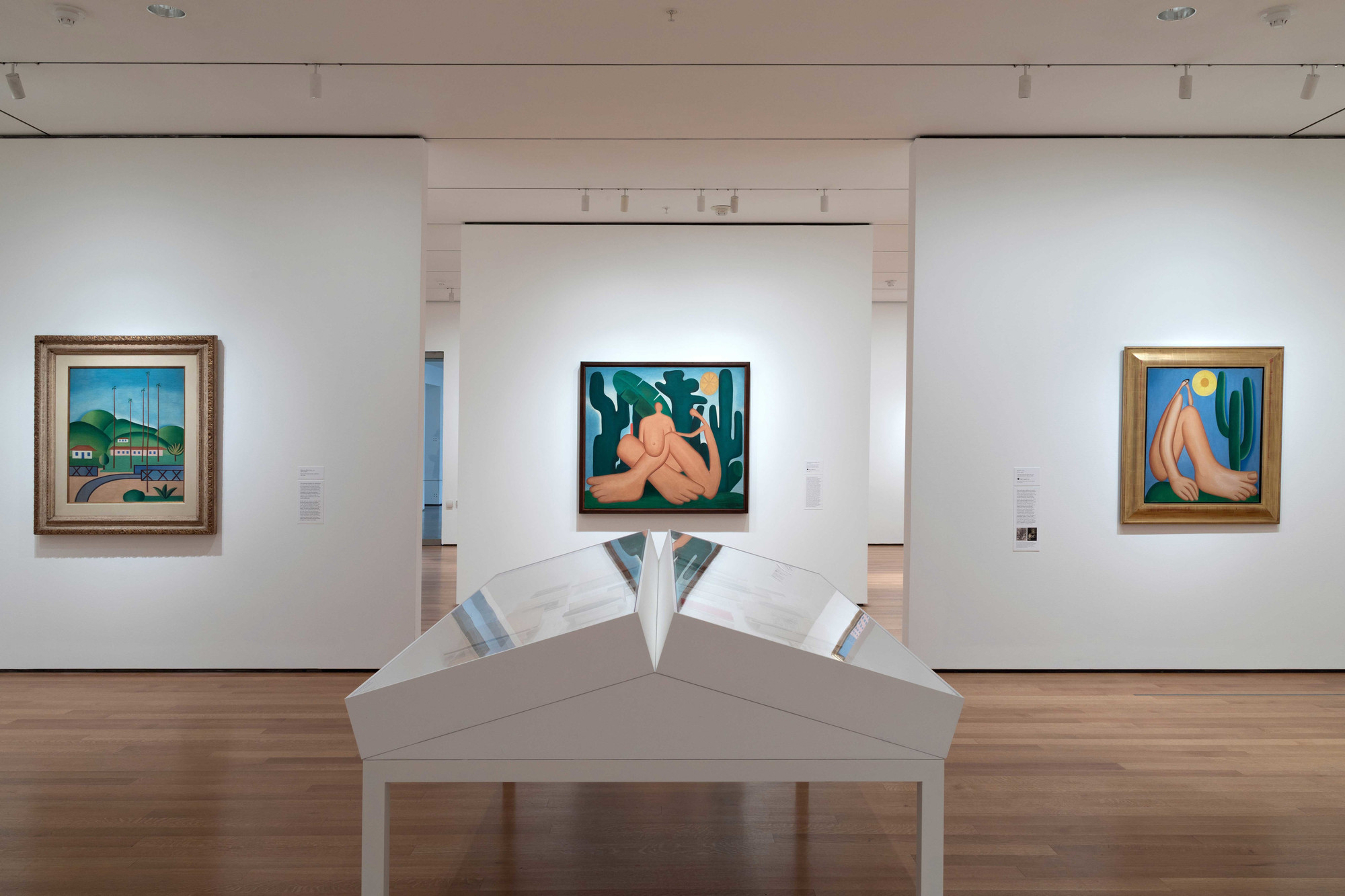 Installation view of Tarsila do Amaral: Inventing Modern Art in Brazil, The Museum of Modern Art, New York, February 11–June 3, 2018. Artwork © Tarsila do Amaral Licenciamentos. Photo: Robert Gerhardt