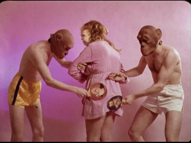 devo