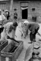 Thumbnail The Great Leap Forward, China, 1958