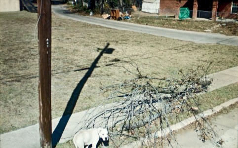 #32.700542, Dallas, TX. 2009, 2010