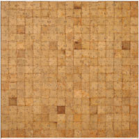 Dama (Checkerboard)